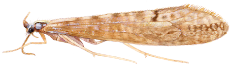 Simposio Investigación