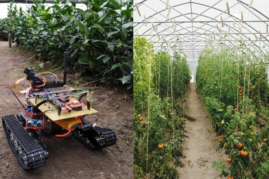 Smart Farming: inteligencia artificial aplicada a la agricultura ...