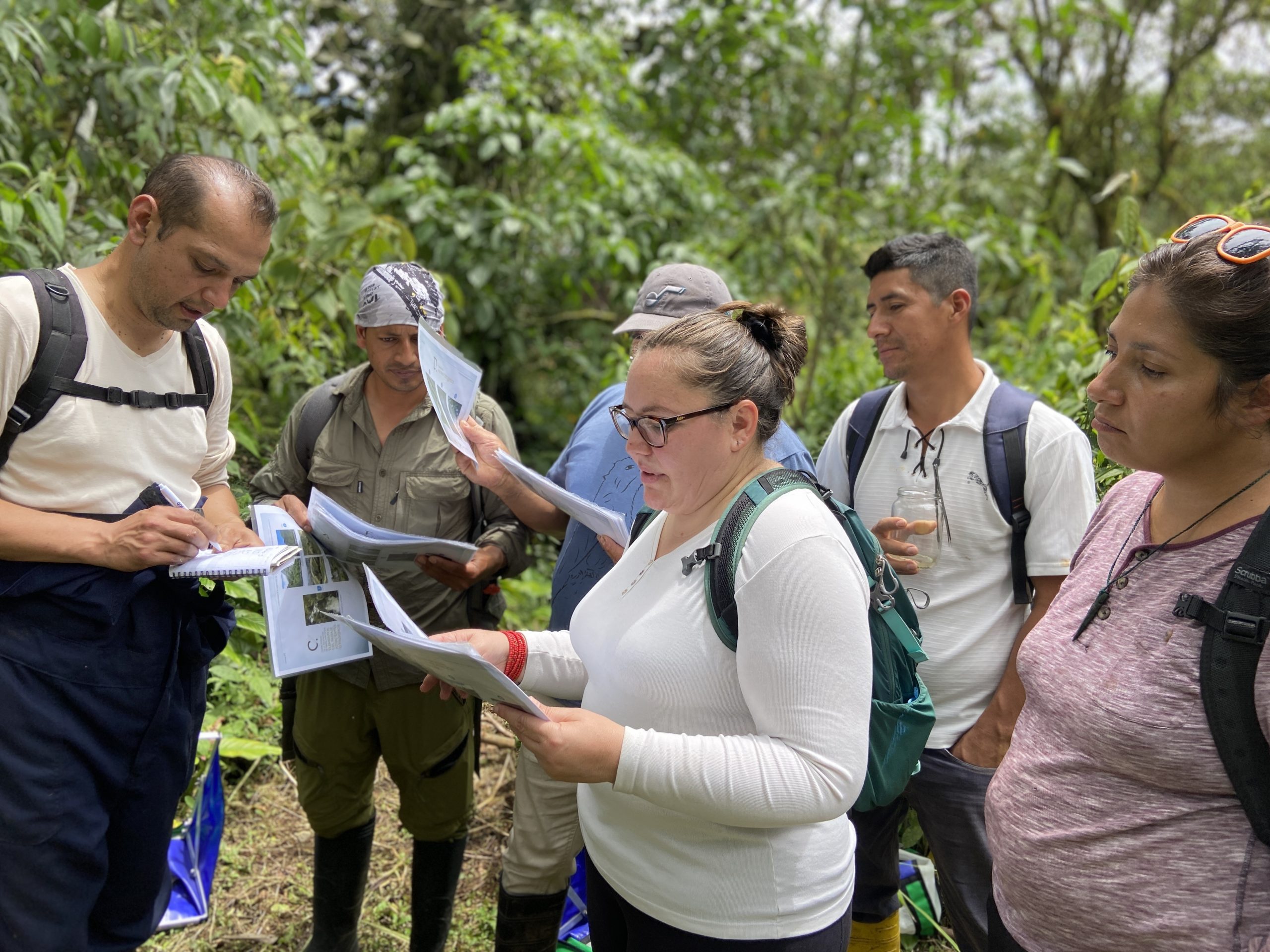 Saneamiento ambiental