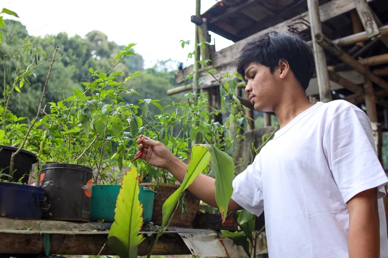 Emprendimiento sostenible en Ecuador: estudio revela qué impulsa la innovación verde