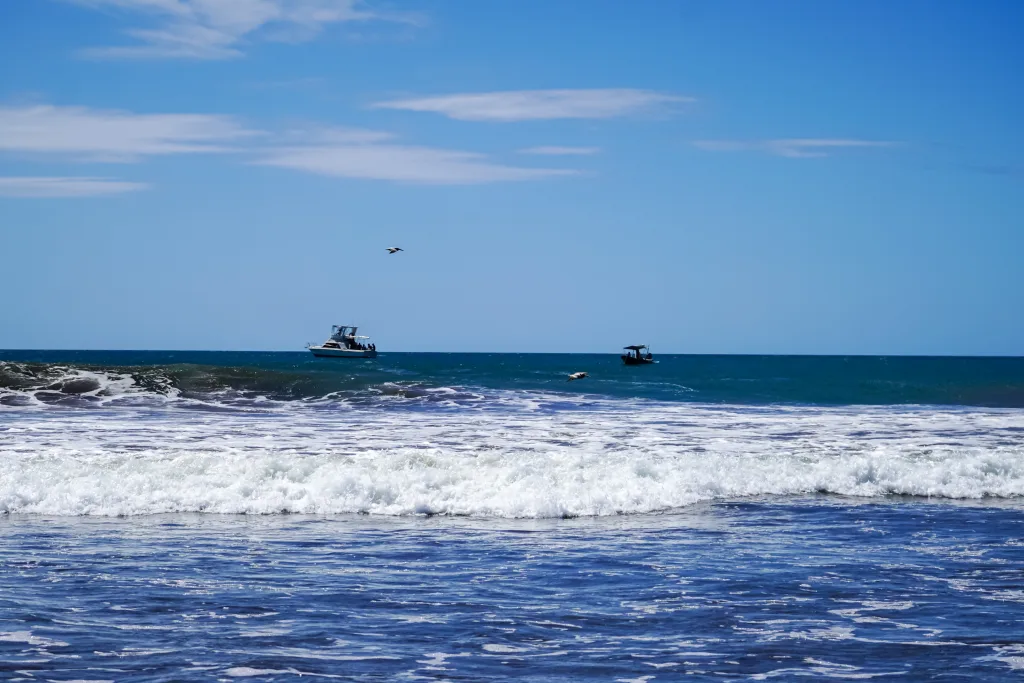 Pesca en alta mar