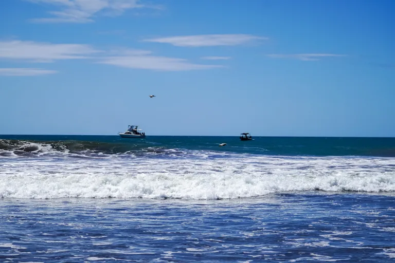 Pesca en alta mar