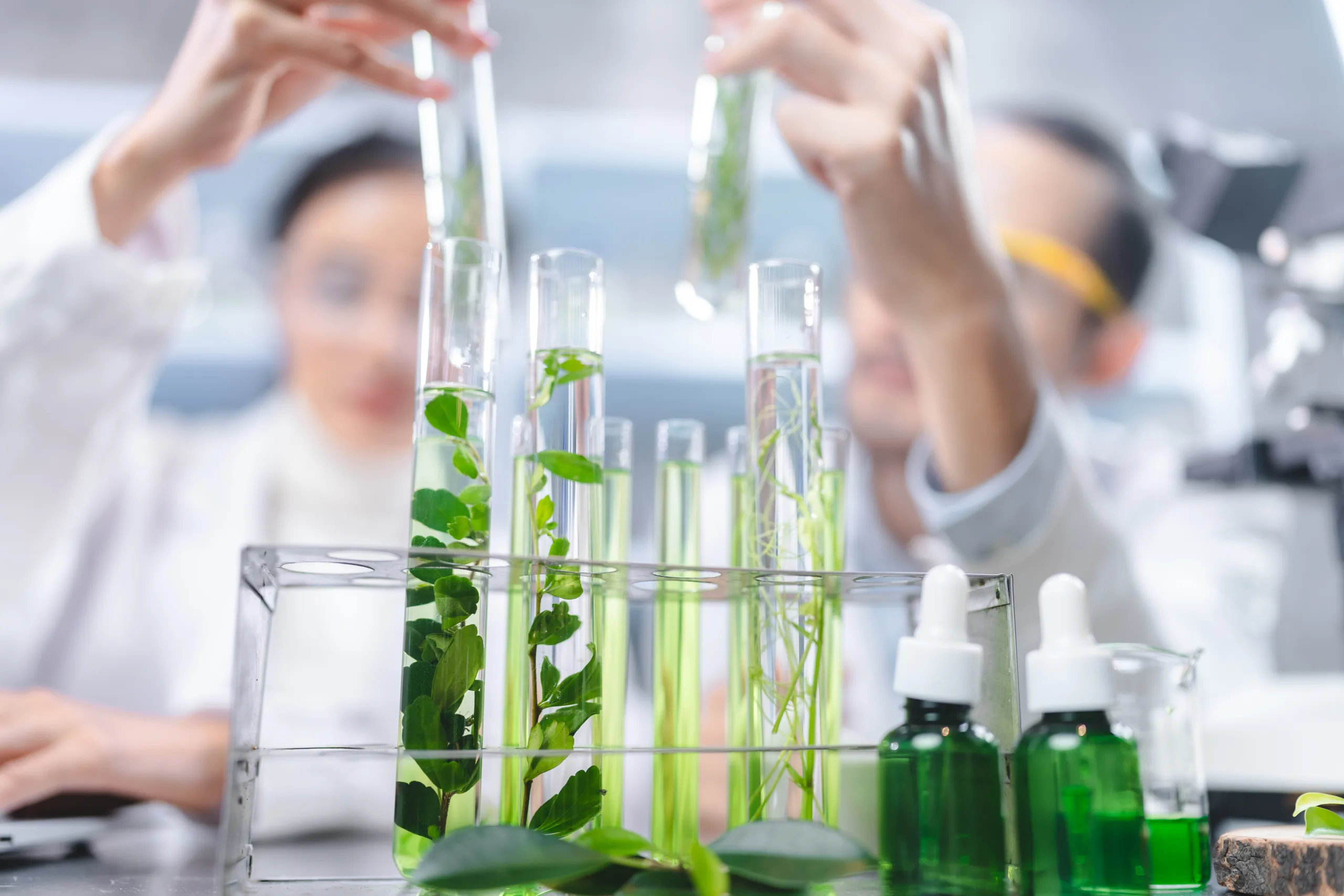 El rol de la transferencia genética en la evolución de las plantas