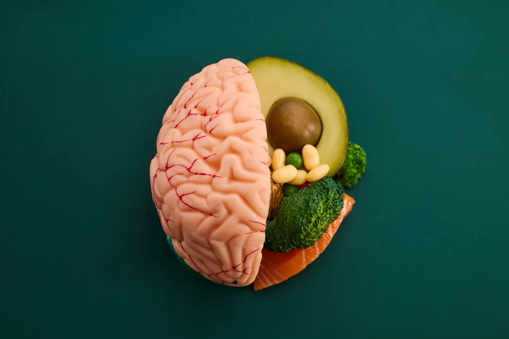 Tu intestino le habla a tu cerebro: un investigador de la UDLA estudia el vínculo entre las bacterias intestinales y los trastornos mentales