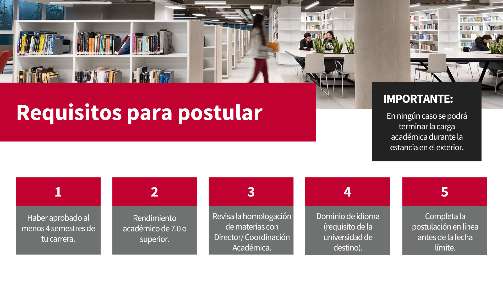 Presentación Programas (1)