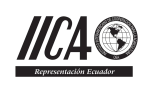 logo iica ecuador logo iica ecuador
