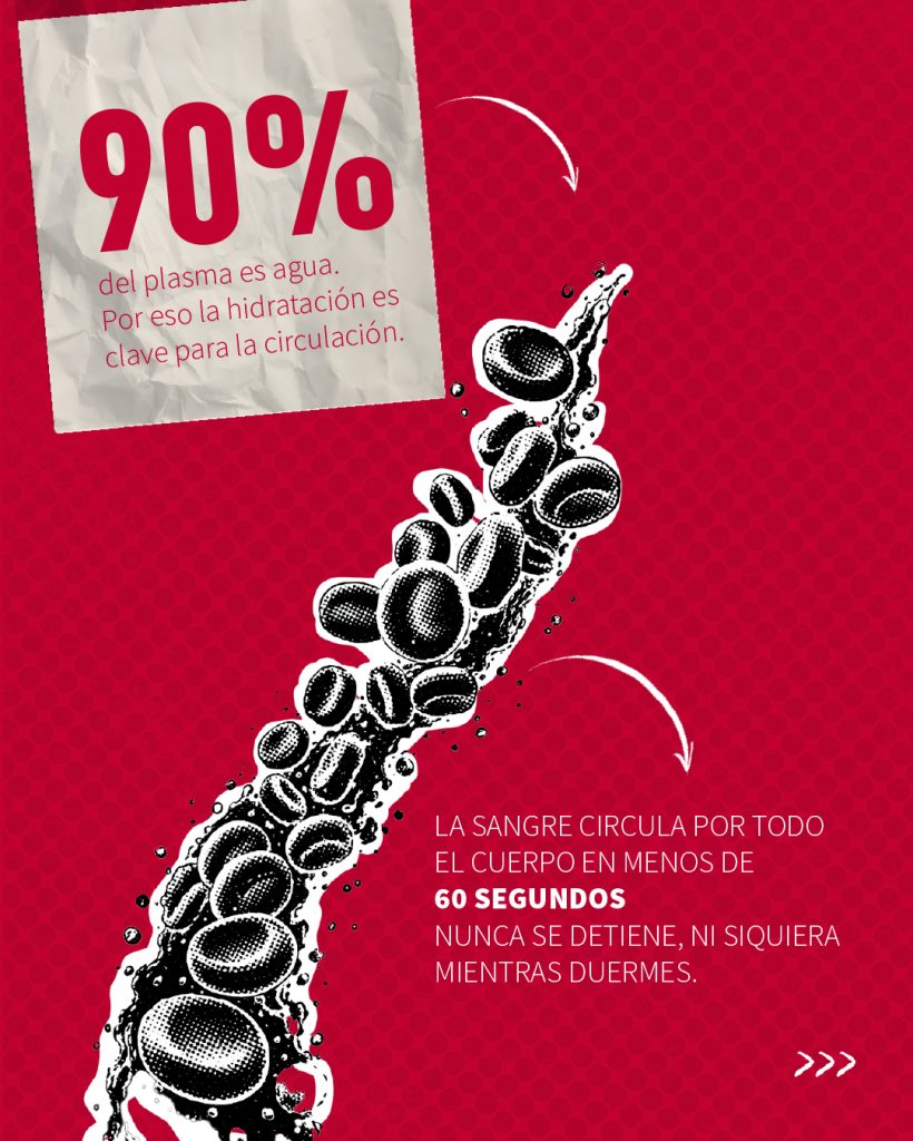 infografía de la sangre